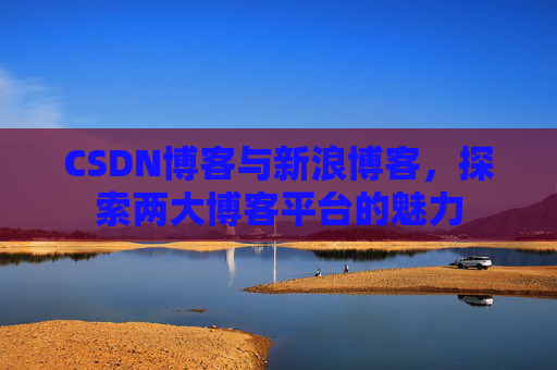 CSDN博客与新浪博客，探索两大博客平台的魅力